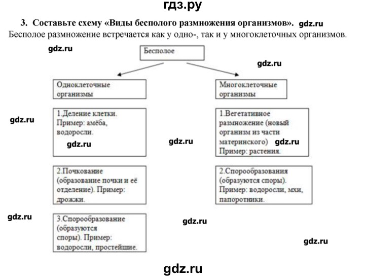 ГДЗ по биологии 9 класс  Пасечник рабочая тетрадь  § 11 - 3, Решебник №1