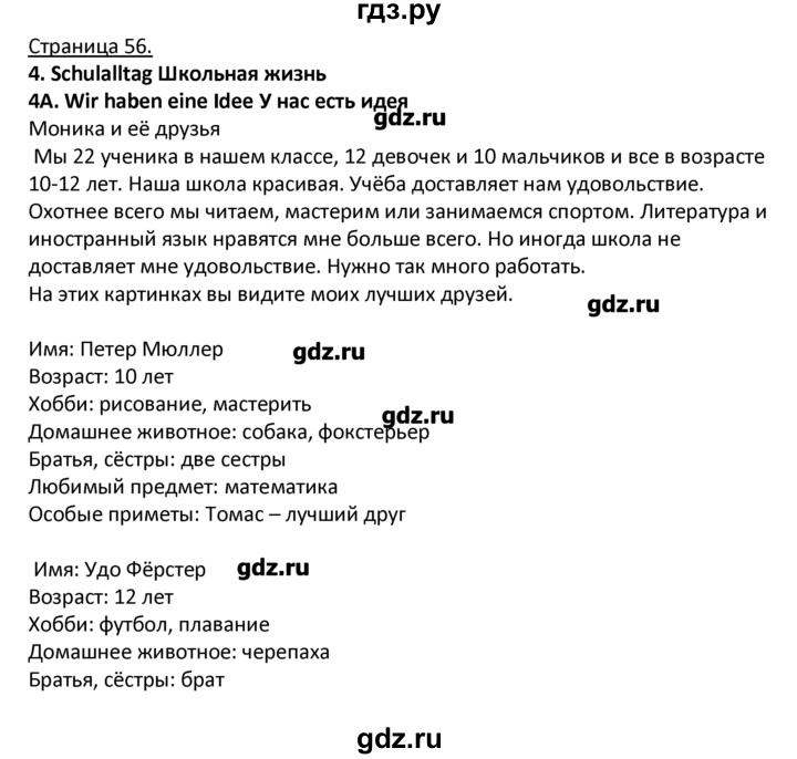 ГДЗ по немецкому языку 4 класс Гальскова   страница - 56, Решебник №1