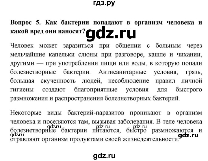 ГДЗ по биологии 5 класс  Пасечник   § 12 . Роль бактерий в природе и жизни человека / Вопросы - 5, Решебник №1