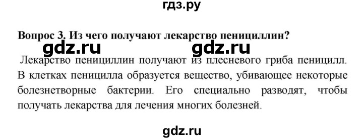 ГДЗ по биологии 5 класс  Пасечник Бактерии, грибы, растения  § 15. Плесневые грибы и дрожжи / Вопросы - 3, Решебник №1