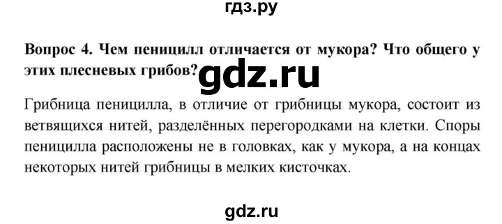 ГДЗ по биологии 5 класс  Пасечник Бактерии, грибы, растения  § 15. Плесневые грибы и дрожжи / Вопросы - 4, Решебник №1