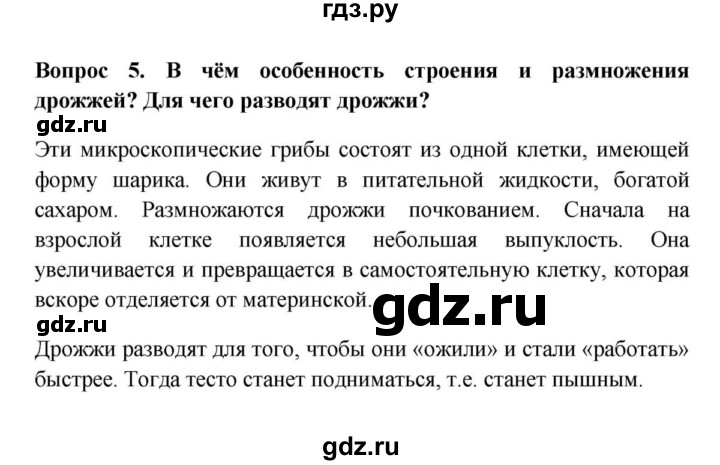 ГДЗ по биологии 5 класс  Пасечник   § 15. Плесневые грибы и дрожжи / Вопросы - 5, Решебник №1