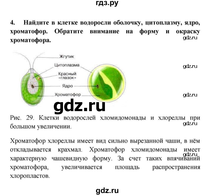 Контрольная работа по биологии 5 класс пасечник. Ход работы в лабораторной работе по биологии 5 класс. Как пишется лабораторная работа по биологии 5 класс. Лабораторная работа номер 5 по биологии.