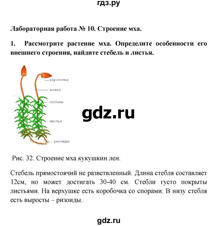 Биология 7 класс мхи