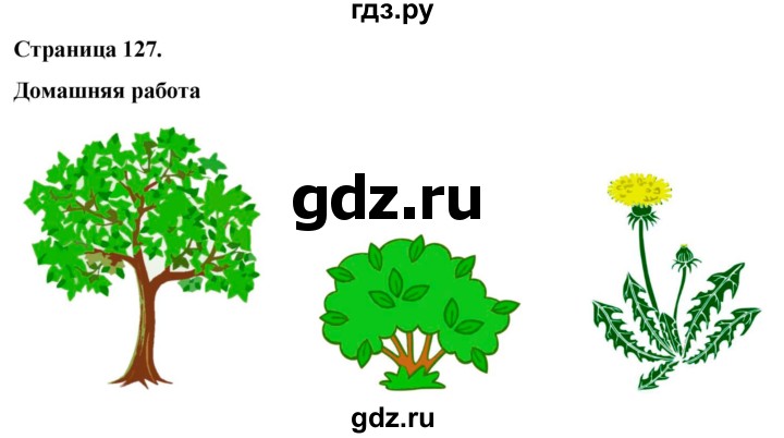 ГДЗ по окружающему миру 3 класс  Виноградова   часть 1. страница - 127, Решебник 2024