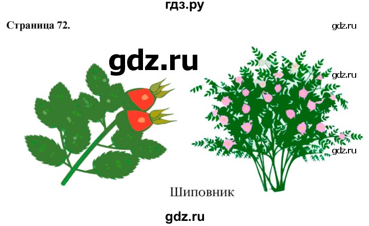 ГДЗ по окружающему миру 3 класс  Виноградова   часть 1. страница - 72, Решебник 2024