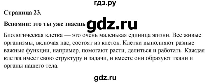 ГДЗ по окружающему миру 3 класс  Виноградова   часть 2. страница - 23, Решебник 2024