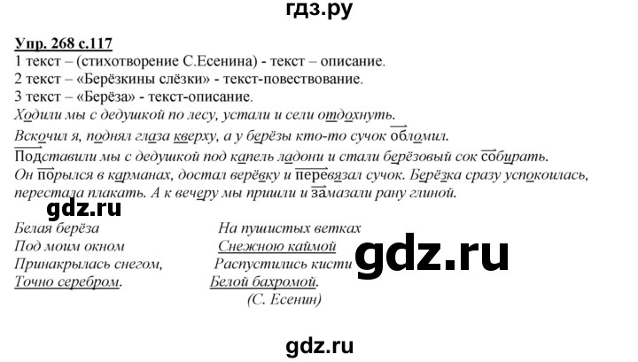 ГДЗ по русскому языку 4 класс Желтовская   часть 1. страница - 117, Решебник №1 2013