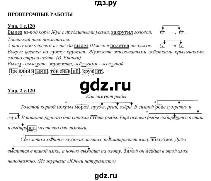 ГДЗ по русскому языку 4 класс Желтовская   часть 1. страница - 120, Решебник №1 2013