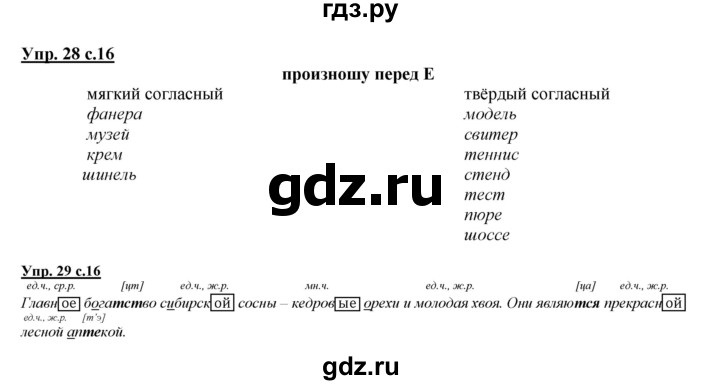 ГДЗ по русскому языку 4 класс Желтовская   часть 1. страница - 16, Решебник №1 2013