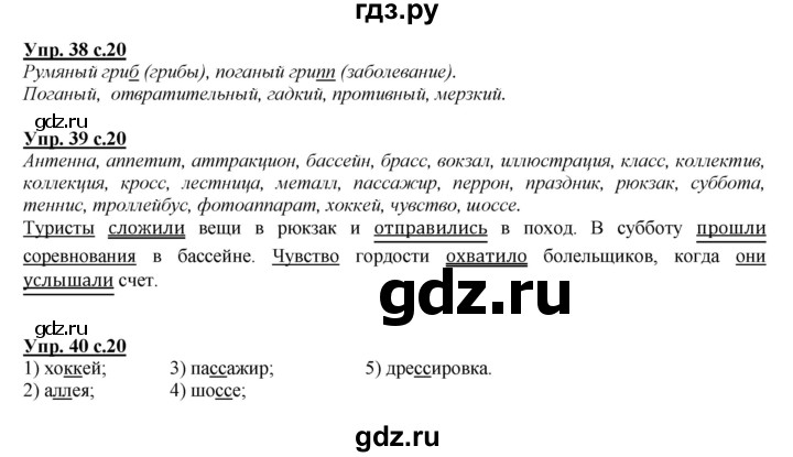 ГДЗ по русскому языку 4 класс Желтовская   часть 1. страница - 20, Решебник №1 2013