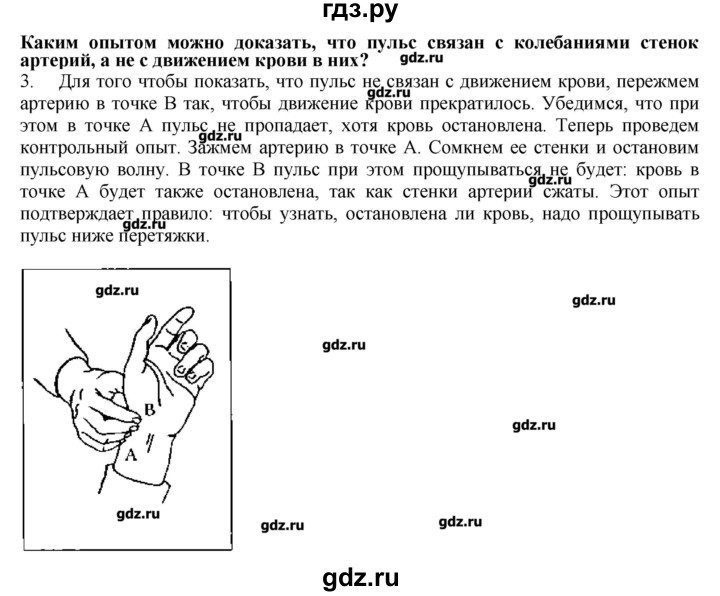 ГДЗ по биологии 9 класс  Драгомилов   § 19 - 3, Решебник