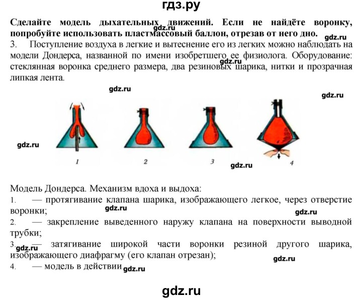 ГДЗ по биологии 9 класс  Драгомилов   § 25 - 3, Решебник