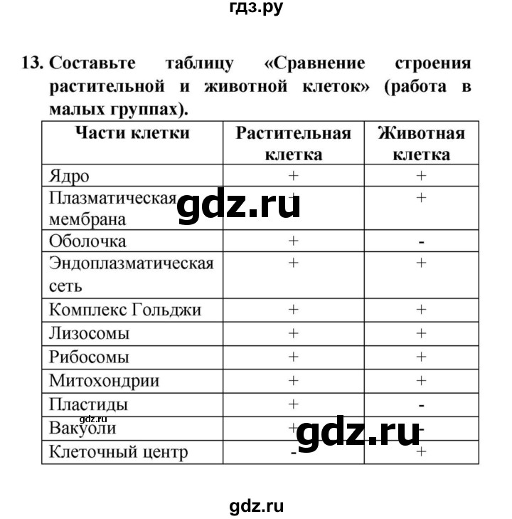 ГДЗ по биологии 6 класс  Сонин   §1.	Клетка — живая система - 13, решебник