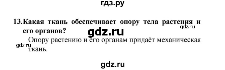 ГДЗ по биологии 6 класс  Сонин   §3.	Ткани растений и животных - 13, решебник