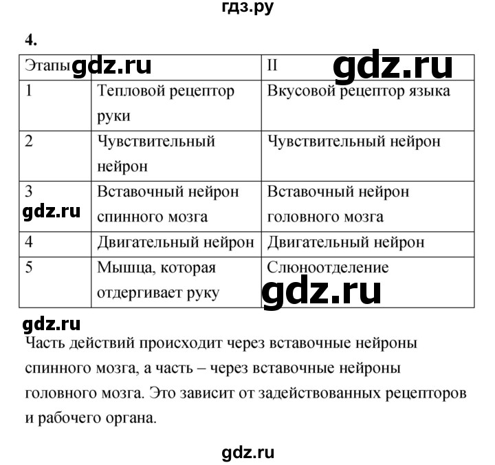 ГДЗ по биологии 8 класс Сухорукова Тетрадь-тренажер   страница - 24, Решебник