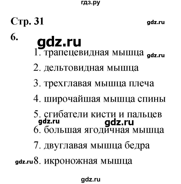 ГДЗ по биологии 8 класс Сухорукова Тетрадь-тренажер   страница - 31, Решебник