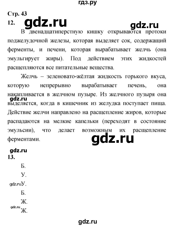 ГДЗ по биологии 8 класс Сухорукова Тетрадь-тренажер   страница - 43, Решебник