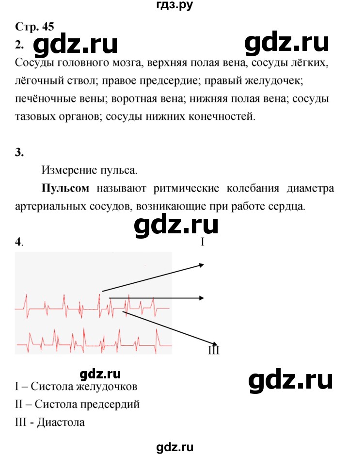 ГДЗ по биологии 8 класс Сухорукова Тетрадь-тренажер Человек. Культура здоровья  страница - 45, Решебник