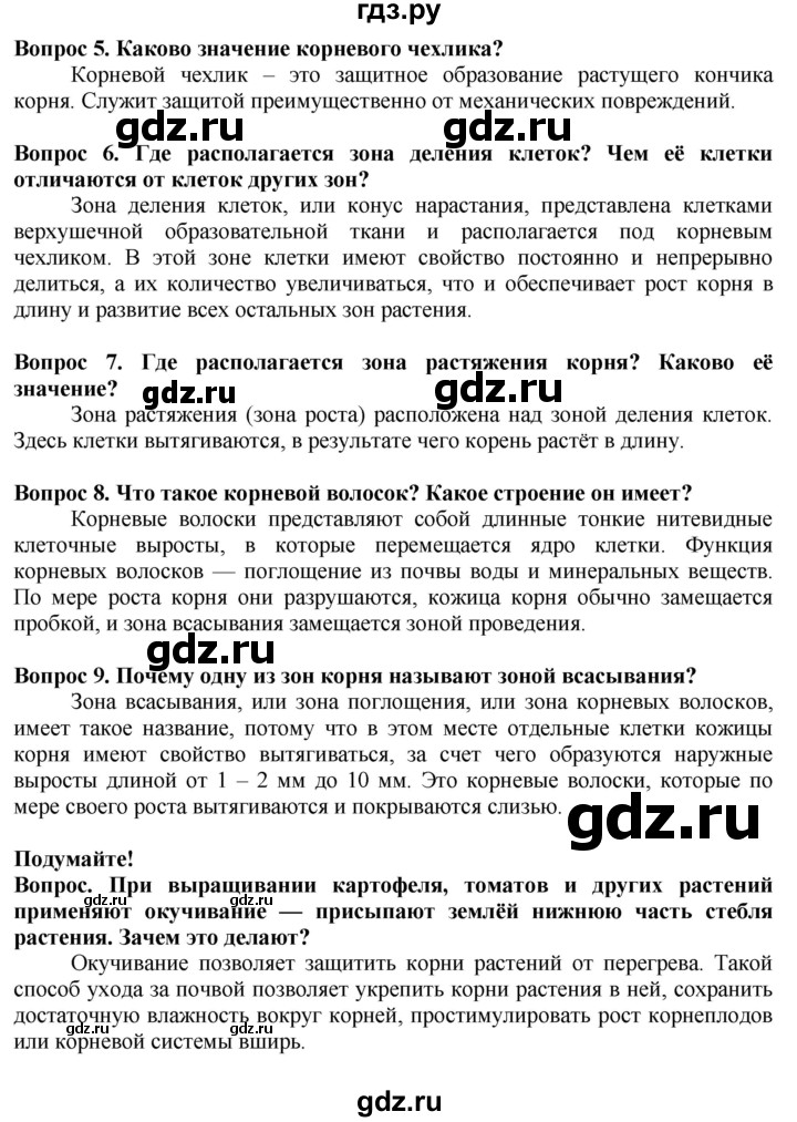 ГДЗ по биологии 5‐6 класс Пасечник   параграф - 39, Решебник к учебнику 2020