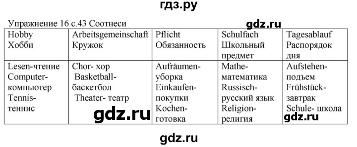 ГДЗ по немецкому языку 6 класс Радченко рабочая тетрадь Wunderkinder Plus Базовый и углубленный уровень страница - 43, Решебник к тетради Wunderkinder Plus