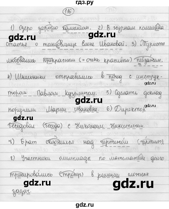 ГДЗ по русскому языку 8 класс Рыбченкова   часть 1 / упражнение - 116, Решебник 2015