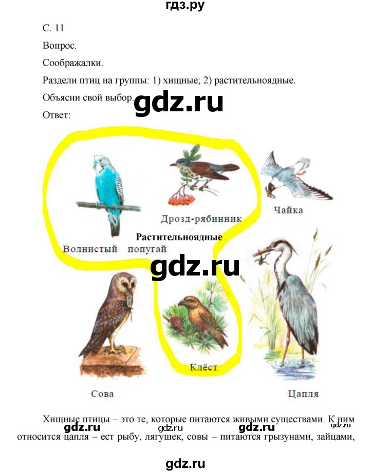 ГДЗ по окружающему миру 1 класс  Виноградова   часть 2. страница - 11, Решебник 2016