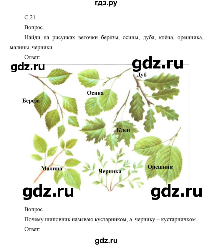 ГДЗ по окружающему миру 1 класс  Виноградова   часть 2. страница - 21, Решебник 2016