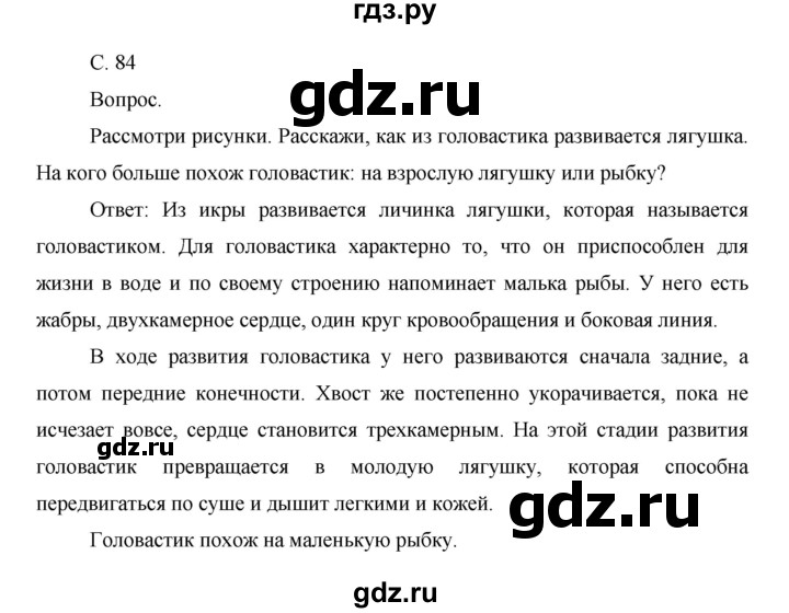 ГДЗ по окружающему миру 1 класс  Виноградова   часть 2. страница - 84, Решебник 2016