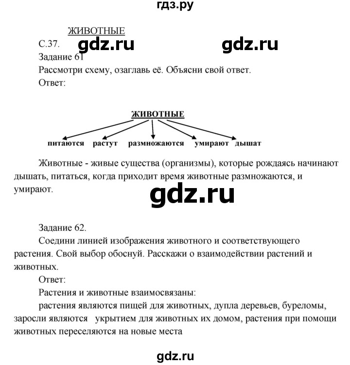 ГДЗ Часть 1 (Страница) 37 Окружающий Мир 3 Класс Рабочая Тетрадь.