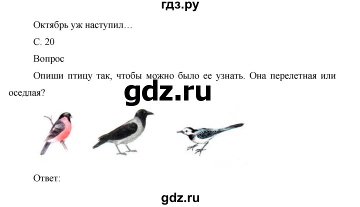 ГДЗ по окружающему миру 1 класс Виноградова рабочая тетрадь  страница - 20, Решебник 2017