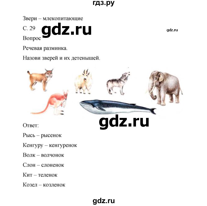 ГДЗ по окружающему миру 1 класс Виноградова рабочая тетрадь  страница - 29, Решебник 2017