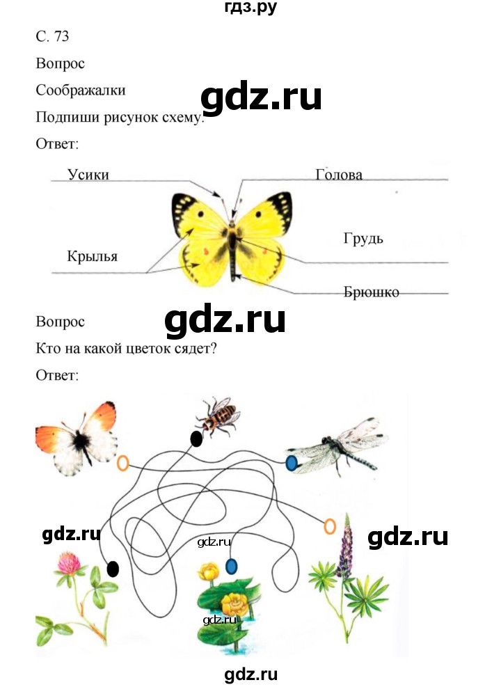 ГДЗ по окружающему миру 1 класс Виноградова рабочая тетрадь  страница - 73, Решебник 2017