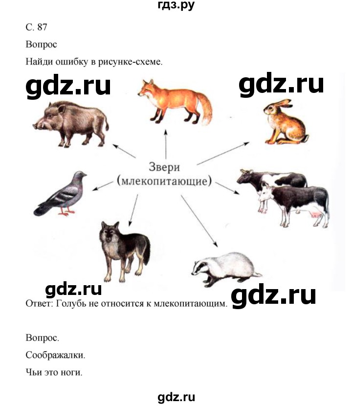 ГДЗ по окружающему миру 1 класс Виноградова рабочая тетрадь  страница - 87, Решебник 2017