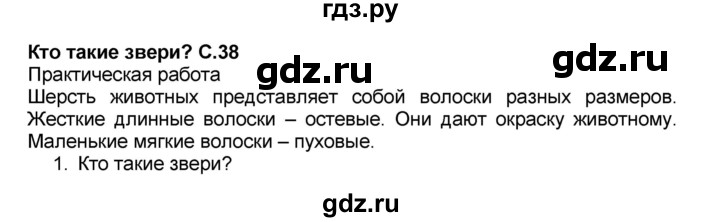 ГДЗ по окружающему миру 1 класс Плешаков   часть 1 (страница) - 38-39, Решебник №2