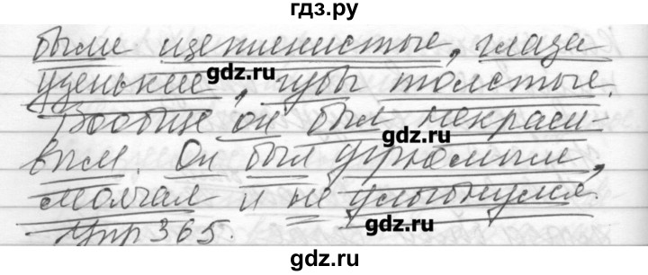 ГДЗ по русскому языку 6 класс Бунеев   упражнение - 364, Решебник