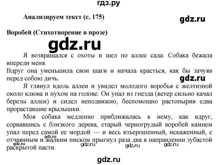 ГДЗ по русскому языку 6 класс Быстрова   часть 1 / анализируем текст - стр.175, Решебник к учебнику 2020