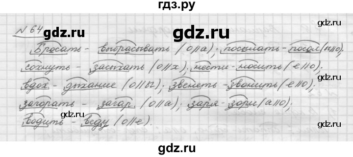 ГДЗ по русскому языку 5 класс Шмелев   глава 3 / упражнение - 64, Решебник