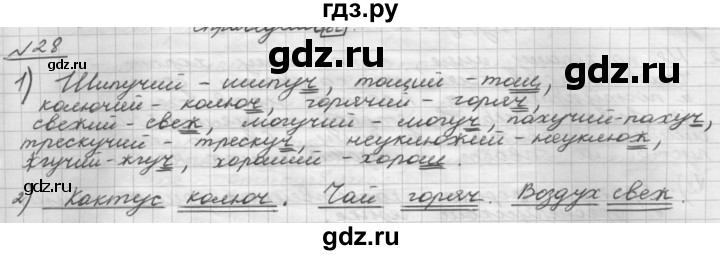 ГДЗ по русскому языку 5 класс Шмелев   глава 7 / упражнение - 28, Решебник