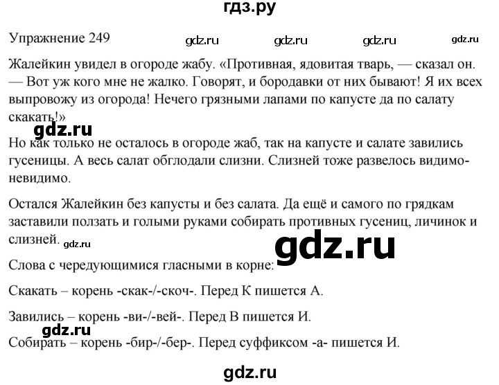 ГДЗ по русскому языку 5 класс Рыбченкова   часть 2 / упражнение - 249, Решебник 2024