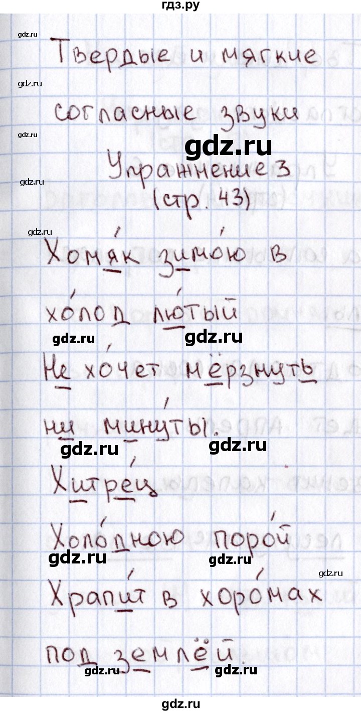 ГДЗ по русскому языку 1 класс  Канакина рабочая тетрадь  страница - 43, Решебник №3 2013