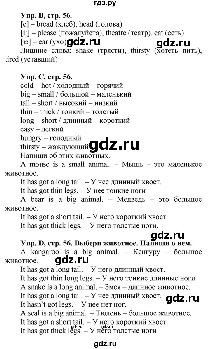 ГДЗ по английскому языку 3 класс  Вербицкая рабочая тетрадь Forward   страница - 56, Решебник №1 2013