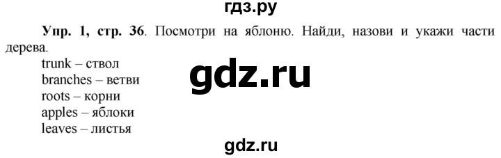 ГДЗ по английскому языку 3 класс Баранова Starlight Углубленный уровень часть 1. страница - 36, Решебник 2016