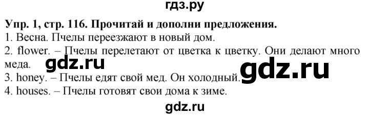 ГДЗ по английскому языку 3 класс Баранова Starlight Углубленный уровень часть 2. страница - 116, Решебник 2016