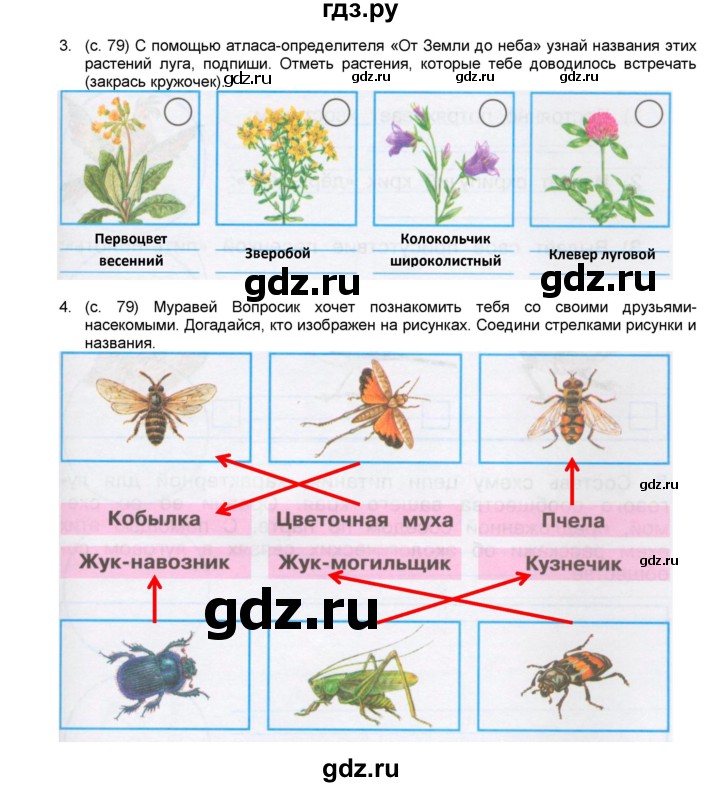 ГДЗ по окружающему миру 4 класс  Плешаков рабочая тетрадь  часть 1. страница - 79, Решебник к тетради 2017