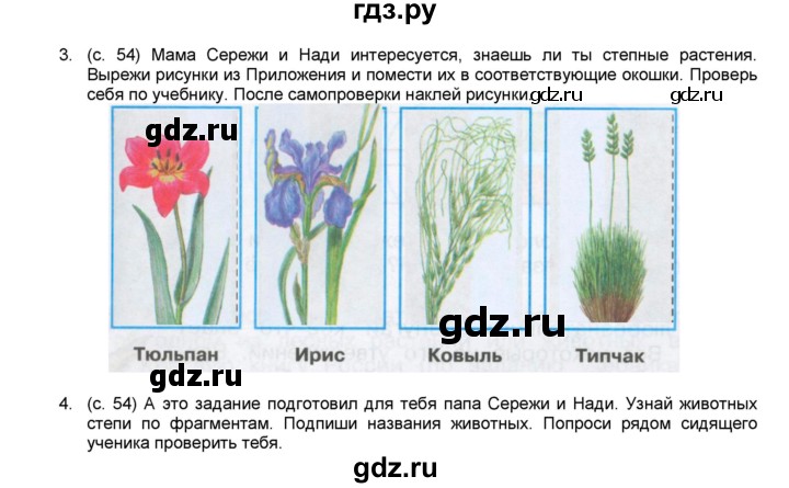 Мама сережи и нади интересуется знаешь ли. Гдз 4 класс окружающий мир рабочая тетрадь страница 55 56 57. Окружающий мир рабочая тетрадь страница 52 53 54 55 56. Страницу 54 в окружающем мире 1 часть. Мир рабочая тетрадь четвёртый класс страница 56 53 54.