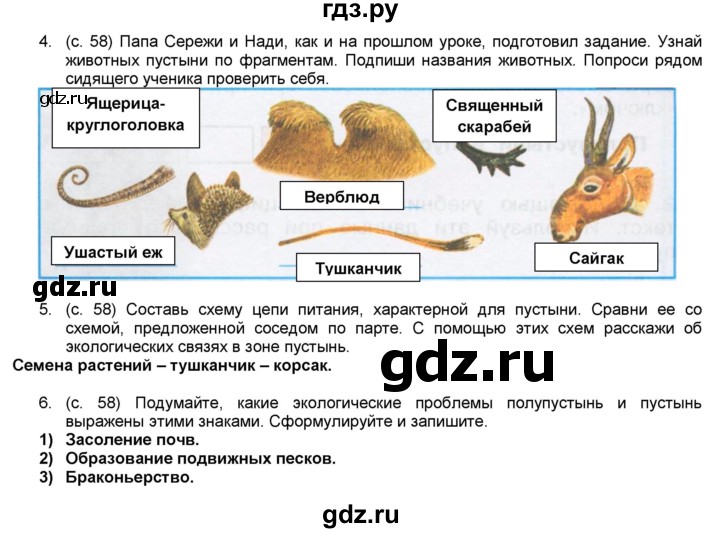 Тест пустыня 4 класс окружающий мир