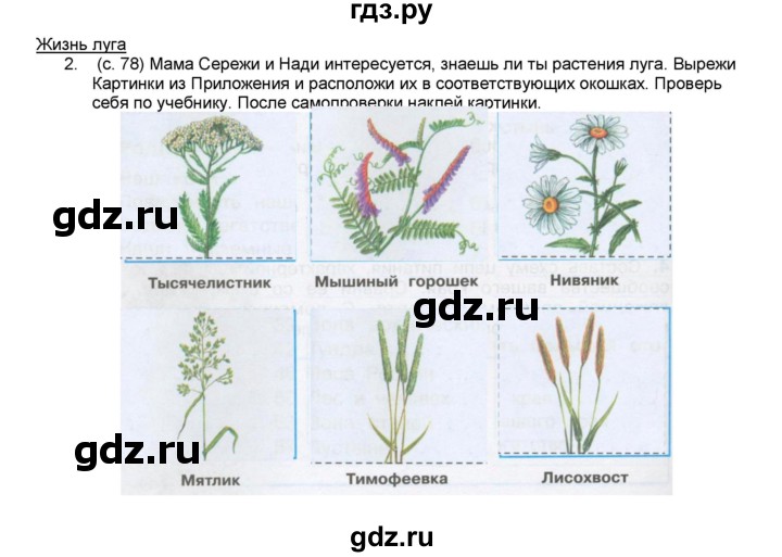 Жизнь луга 4 класс тест. Жизнь Луга 4 класс окружающий мир рабочая тетрадь. Жизнь Луга 4 класс окружающий мир гдз. Гдз окружающий мир 4 класс рабочая тетрадь жизнь Луга. Окружающий мир 4 класс страница 78.