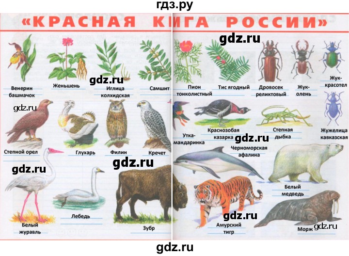 Красная книга животных и растений - Телеканал ЭКСПРЕСС