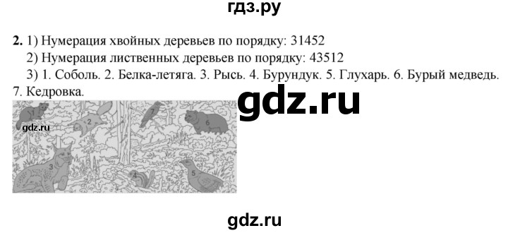 ГДЗ по окружающему миру 4 класс  Плешаков рабочая тетрадь  часть 1. страница - 41, Решебник к тетради 2023